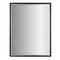 Brushed Black/Chrome Metal Framed Beveled Edge Wall Mirror - 30" x 40"